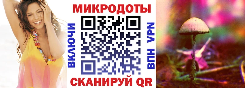 Галлюциногенные грибы мицелий  ссылка на мегу   Кувшиново 